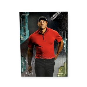 Tiger Woods