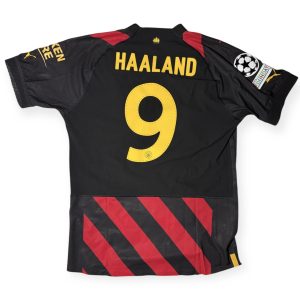 Erling Haaland